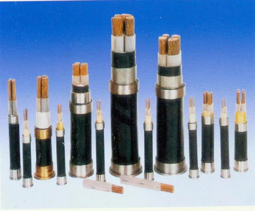 電力電纜及附件專業(yè)領(lǐng)域現(xiàn)狀與發(fā)展分析